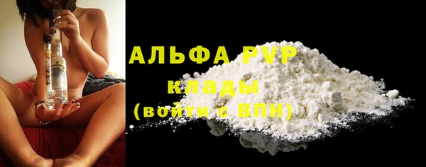 хмурый Зеленокумск
