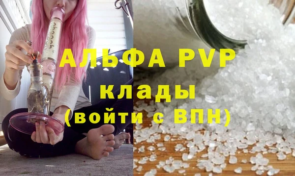молекула духа Зеленодольск