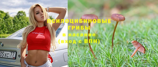 каннабис Инта