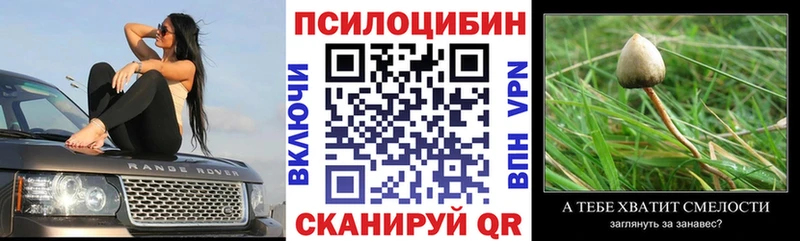 Купить где  Бологое  Псилоцибиновые грибы MAGIC MUSHROOMS 